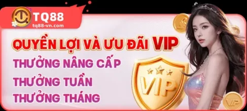 KHUYẾN MÃI TQ88